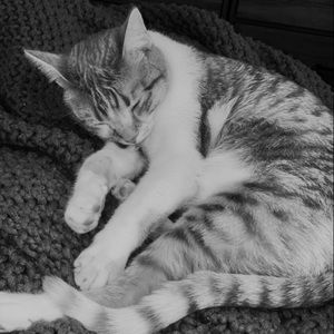 Meet your Posher, Lauryn